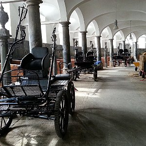 Horse carriage in Copenhagen