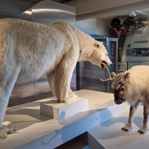 24 Norwegian Forest Museum