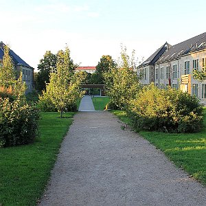 16 Universitas Osloensis