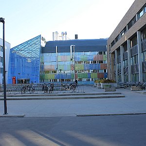 50 Universitas Osloensis