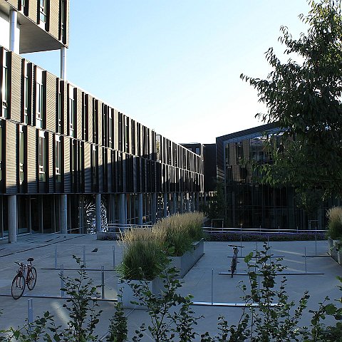 44 Universitas Osloensis