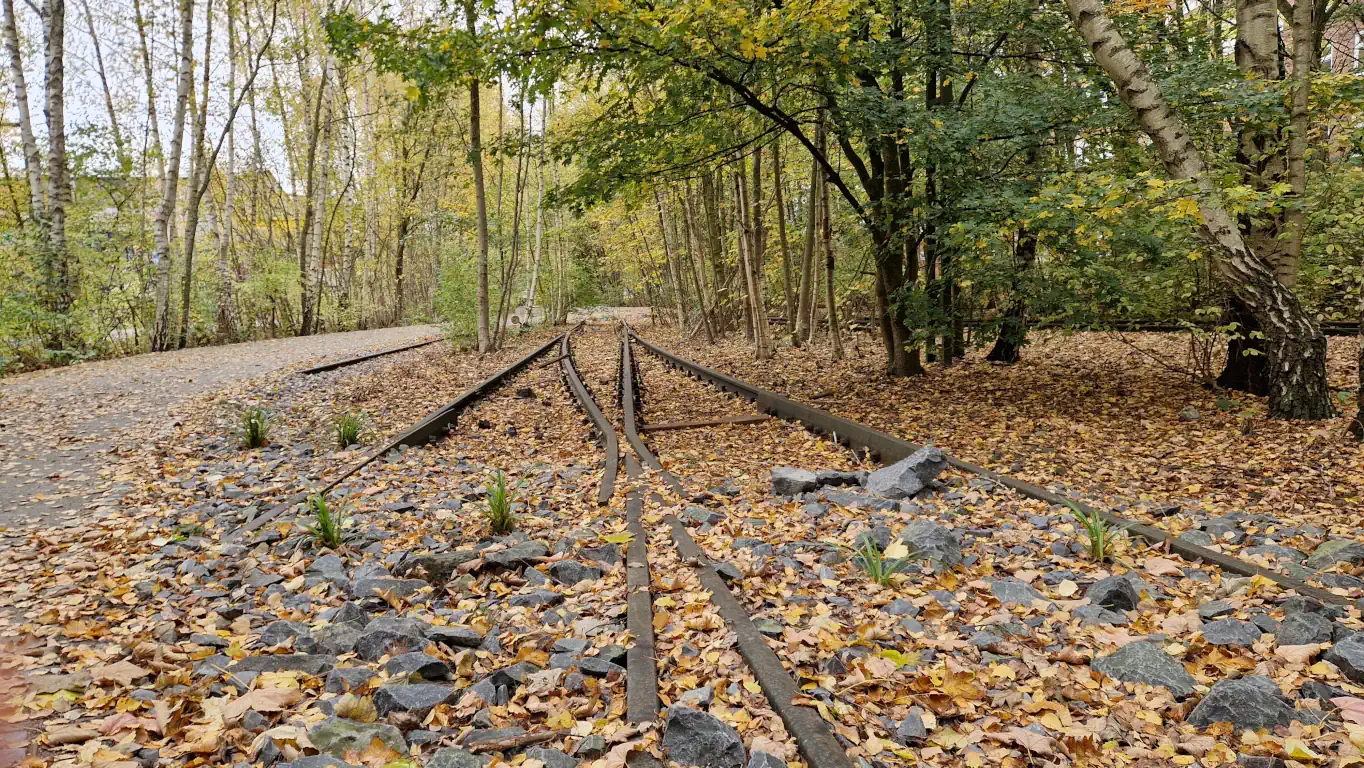 Høst på CAU og Schrevenpark